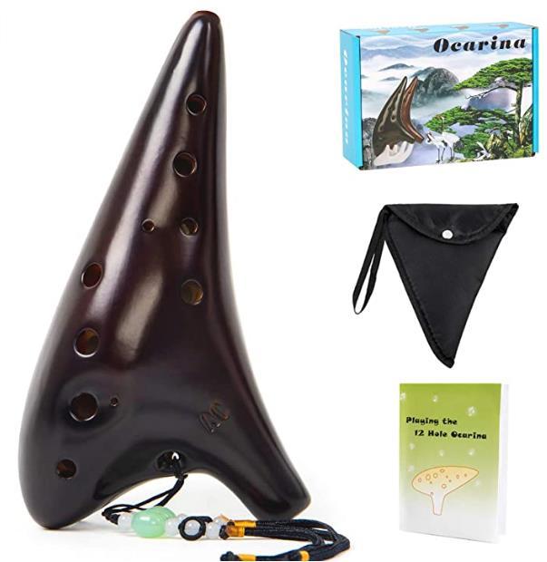 Ocarina 12 Tones Alto C with Song Book Neck String Neck Cord Carry bag for students beginners - AKLOT