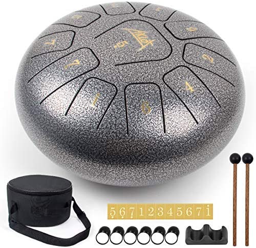 Steel Tongue Drum, AKLOT 10 inch 11 Notes Tank Drum C Key Percussion Steel Drum Kit w/Drum Mallets Note Stickers Finger Picks Mallet Bracket and Gig Bag - AKLOT